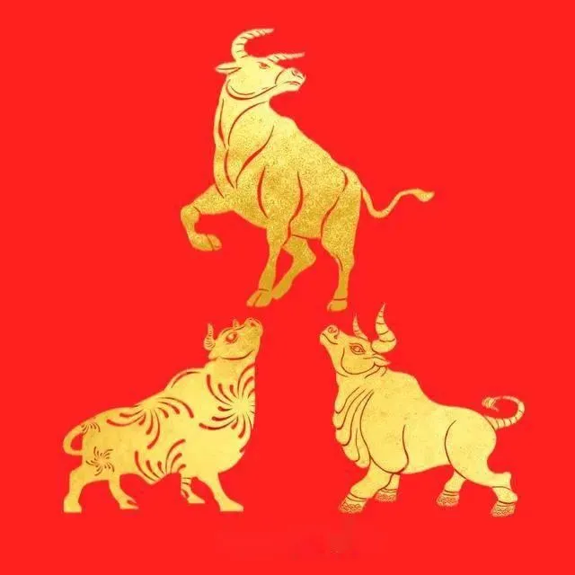 Buona fortuna per l'inizio