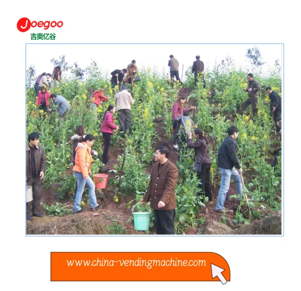 Il dipartimento esportatore della società Jeogoo ha organizzato un'attività d...